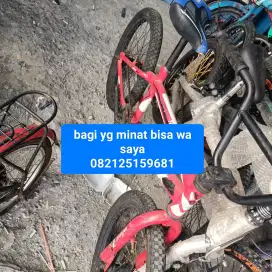 Sepeda BMX ukuran 20 t-rex rem torpedo
