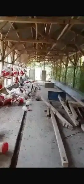 di jual kandang telor Puyuh di parakan salak sukabum
