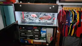 Aquarium 120x60x60 + arwana