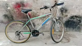 Jual sepeda pederal ring 24