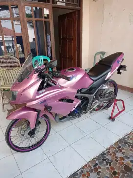 Kawasaki Ninja RR 2014