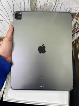 Ipad pro 12,9  256 inch gen 4 cellular inter