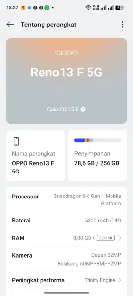 Oppo 13F 5G 256