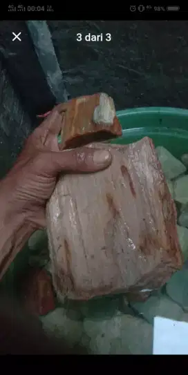 Bongkahan batu fosil kayu