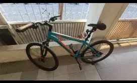 Sepeda Polygon Monarch M5