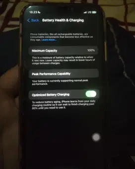 Iphone X (256gb)