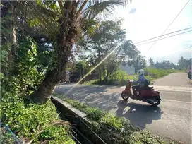 Investasi Tanah di Area Berkembang Tempel, Dekat Pasar & Polsek