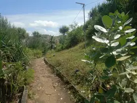 Di jual tanah vieu Laut pantai Ngedan
