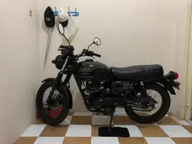 KAWASAKI W175 Black Edition 2023