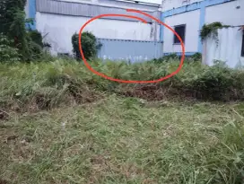 Container 20 Feet Balikpapan
