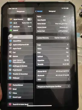 Ipad mini 7 2024