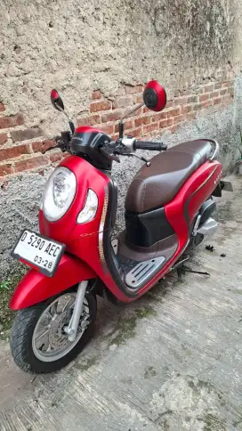 Scopy staylis 2023 mulus