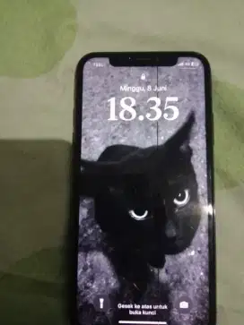 Apple/Iphone x 256 gb inter