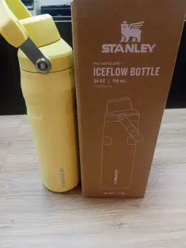 Tumbler Stanley