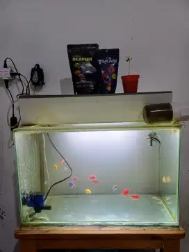 Aquarium Ikan Hias