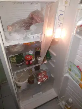 Kulkas 1 pntu 60 w sgt dngin beku free llmove