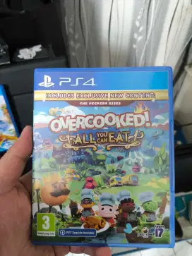 Overcooked bd ps4