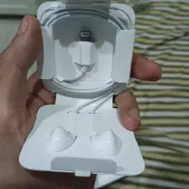 Apple Earphone Lightning Connector