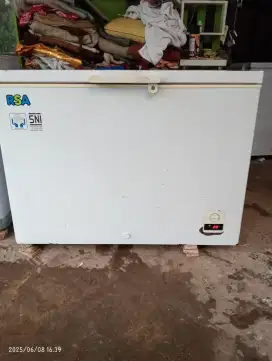 FREZERBOK KAPASITAS 300 LTR ( RSA )