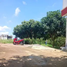 Dijual Tanah Kampung Unnes Shm Ready
