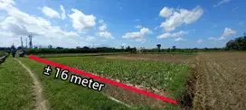 JUAL TANAH SAWAH PRODUKTIF KARANGSONO KANIGORO BLITAR