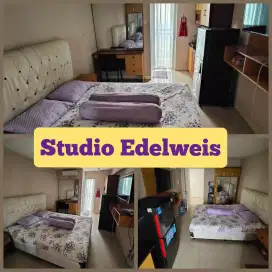 Sewa studio ready unit Bassura city|promo free ipl
