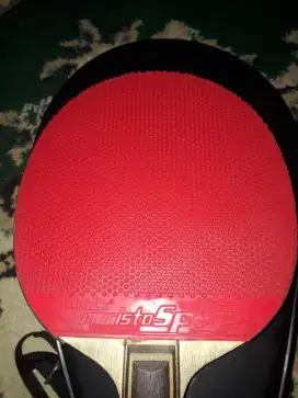 Karet bintik medium warna merah