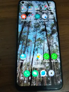 Hp oppo A53 mulus