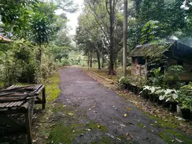 Dijual Tanah Kebun Untuk Pertanian, Agrowisata dan Pondok Pesantren