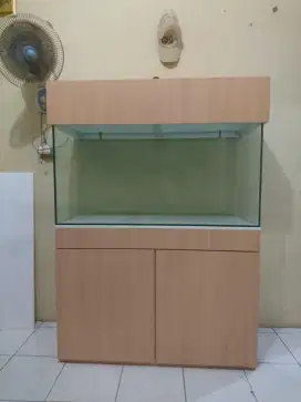 #ikanhias#aquarium#asesorisaquarium