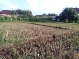 Dijual cepat tanah kavling BU tanpa perantara