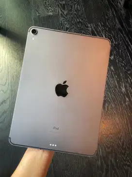 Ipad pro 11 inch , Wifi + Cellular