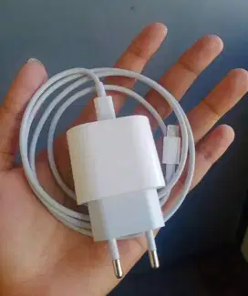 Charger Iphone 20wat Fastcharging Original