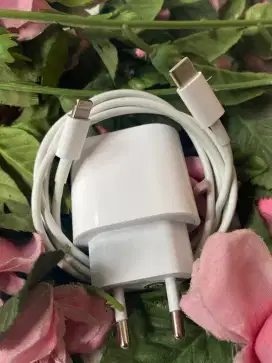 Charger Iphone 20wat Fastcharging Original
