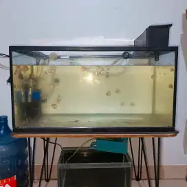 Aquarium arkilik nikita 76x40x40  cm / akuarium arkilik