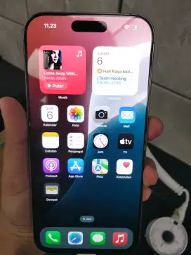 iPhone 16 promax