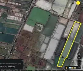 Tambak Ujung Pangkah Gresik
