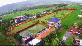 Tanah premium bisa di kavling central lovina