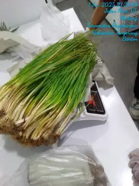 Di Cari Pegawai Pria bagian Packing lalu Kirim sayur ke resto