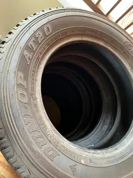 Ban Dunlop 225/70 R17