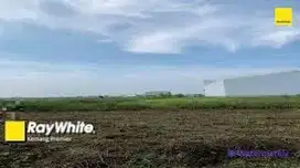 Kavling Cocok Untuk Ruang Usaha Area / Gudang Pakuhaji Tangerang