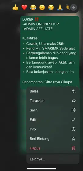 DIBUTUHKAN ADMIN ONLINE SHOP & ADMIN AFFILIATE !!