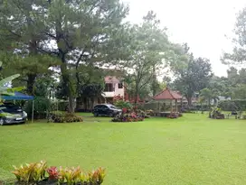 DIJUAL VILLA ASRI SEJUK DI CIAWI VIEW GUNUNG SALAK & GUNUNG GEDE!