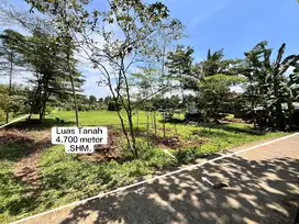 TANAH MURAH TANAH DATAR STRATEGIS DI KEMANG KABUPATEN BOGOR