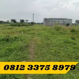 Tanah Kavling Siap Bangun SHM Tritunggal Lamongan