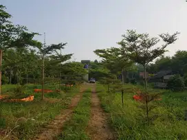 Dijual Tanah 24500 m2 Di Desa Cibadung , Parung, Bogor