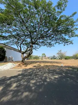 JUAL - KAVLING TELAGA BIRU ALAM SUTERA TANGERANG BANTEN / ADR