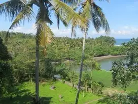 68 Are Freehold Land in Medewi – Rice Field, River and Ocean Views