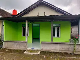 Disewakan rumah di utara kp haryadi jl kaliurang