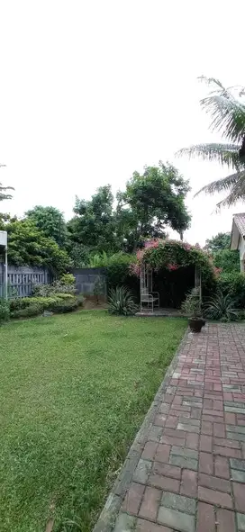 Rumah Murah Besar Dan Cantik Lokasi Strtgis Ada Swim Pool DR12740